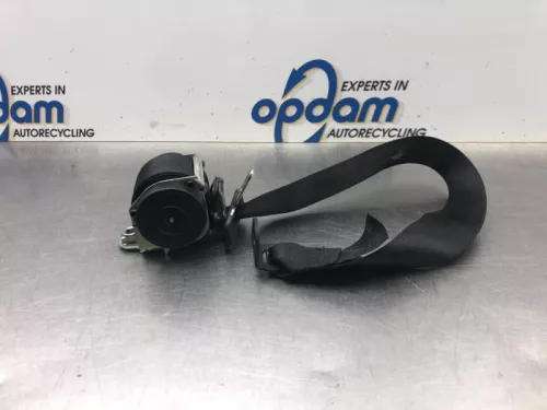 Veiligheidsgordel links-achter-7933937