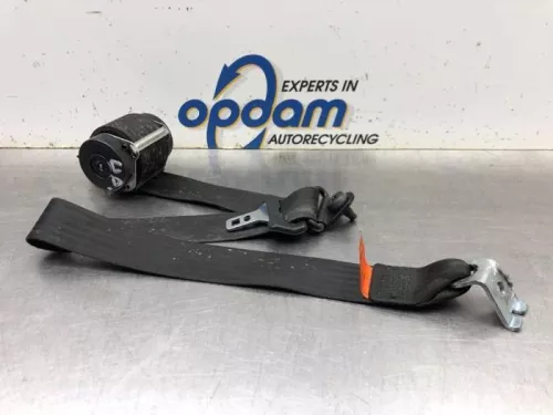 Veiligheidsgordel links-achter-8113735