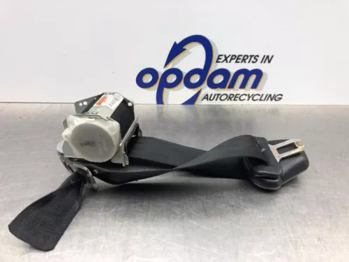 Veiligheidsgordel links-achter-8219047