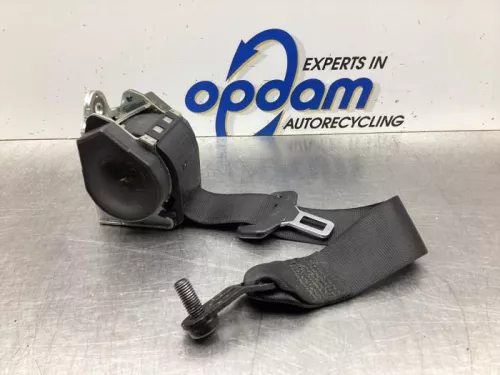 Veiligheidsgordel links-achter-7931688