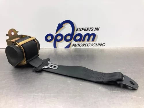 Veiligheidsgordel links-achter-8229503