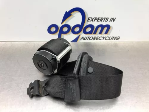 Veiligheidsgordel links-achter-8266817