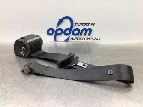 Veiligheidsgordel links-achter-7923151