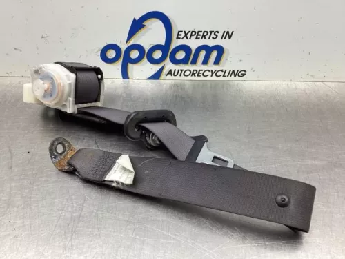 Veiligheidsgordel links-achter-8051062