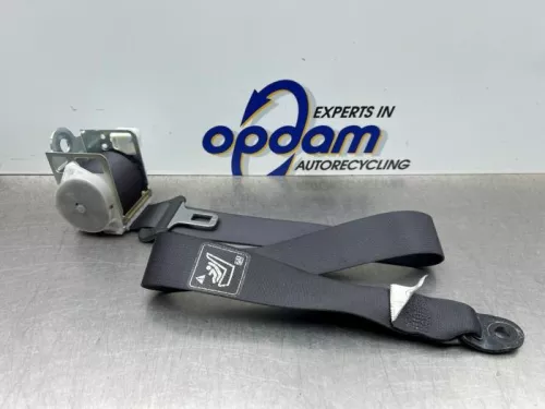 Veiligheidsgordel links-achter-8301318