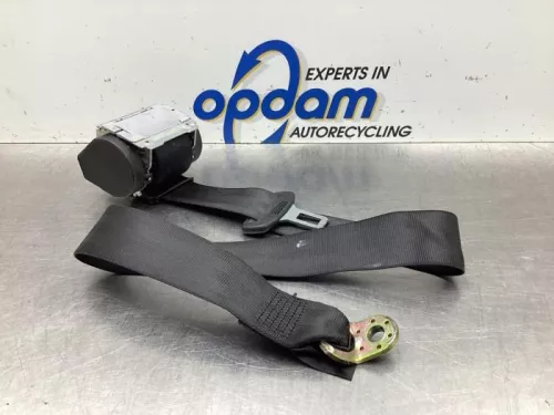 Veiligheidsgordel links-achter-7865864