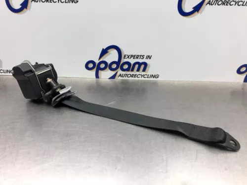 Veiligheidsgordel links-achter-8242837