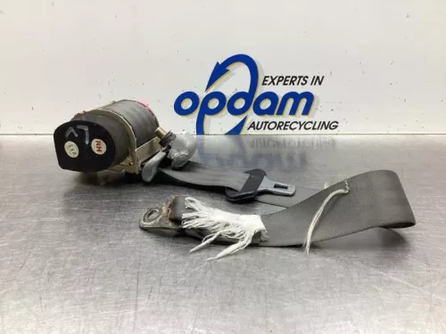 Veiligheidsgordel links-achter-8072024