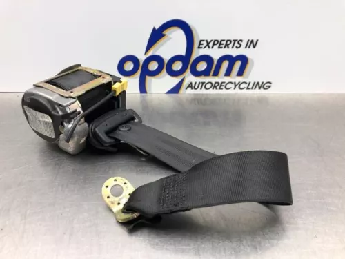 Veiligheidsgordel links-achter-8196845