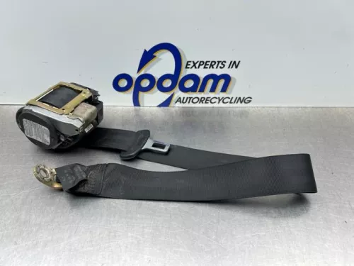 Veiligheidsgordel links-achter-8291494