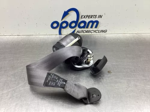 Veiligheidsgordel links-achter-8107558