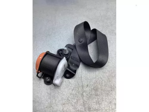 Veiligheidsgordel links-achter-6924154