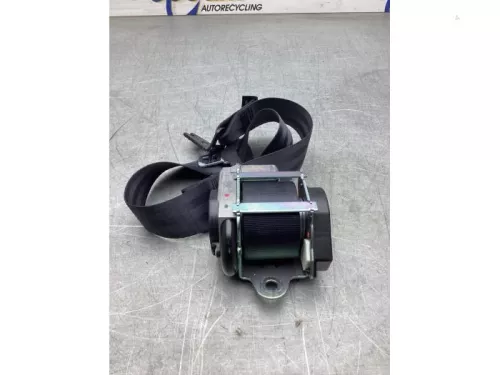 Veiligheidsgordel links-achter-8184038