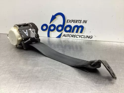 Veiligheidsgordel links-achter-7856232