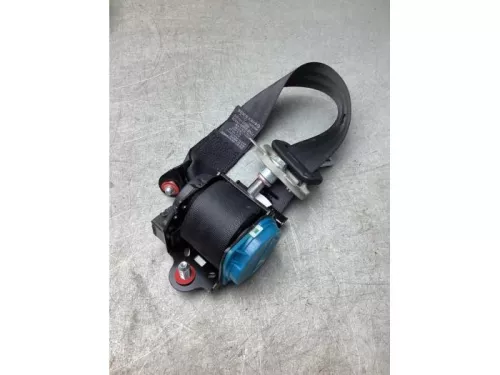 Veiligheidsgordel links-achter-8077827