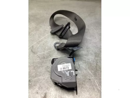 Veiligheidsgordel links-achter-8289212