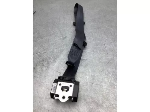 Veiligheidsgordel links-achter-7926020