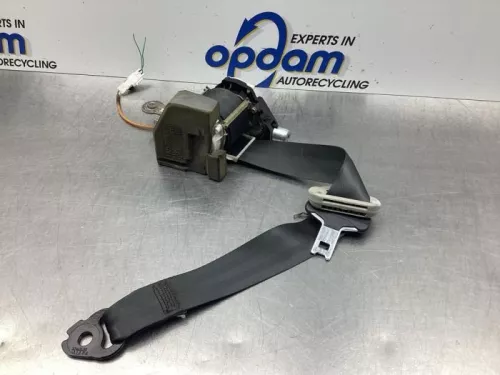 Veiligheidsgordel links-achter-7319763