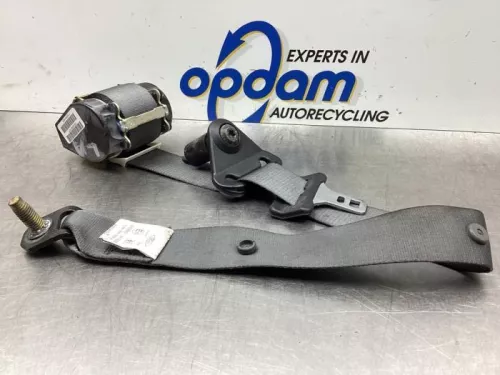 Veiligheidsgordel links-achter-6934357