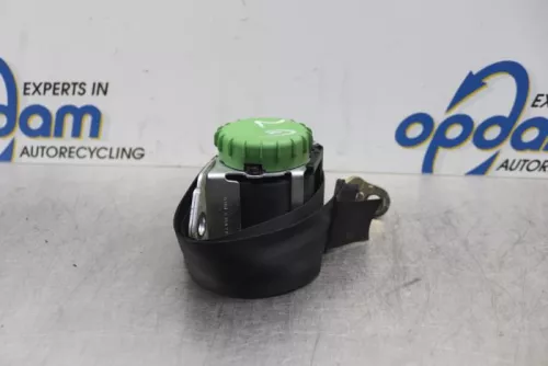 Veiligheidsgordel links-achter-7582882