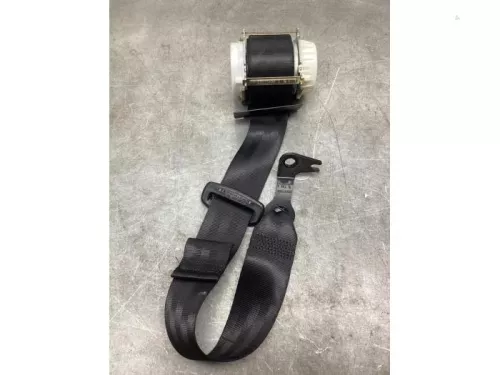 Veiligheidsgordel links-achter-8251312