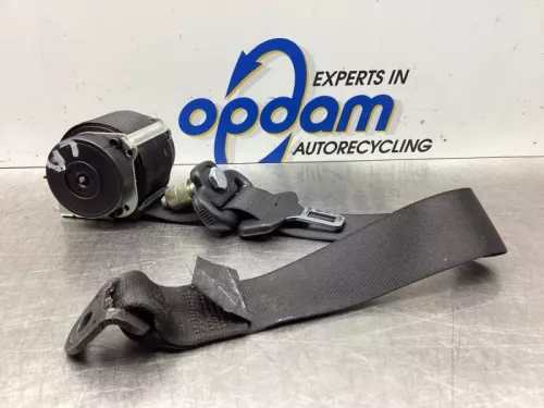 Veiligheidsgordel links-achter-7850864