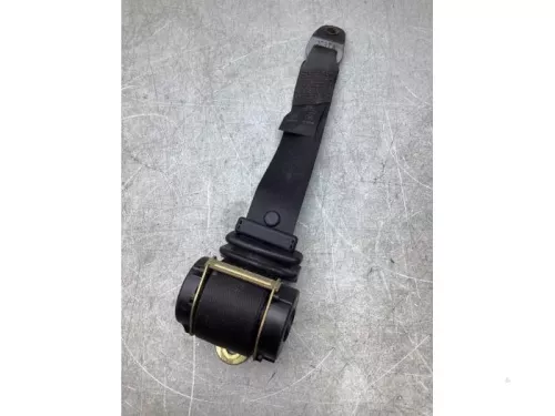 Veiligheidsgordel links-achter-8241240