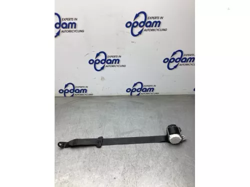 Veiligheidsgordel links-achter-8240516