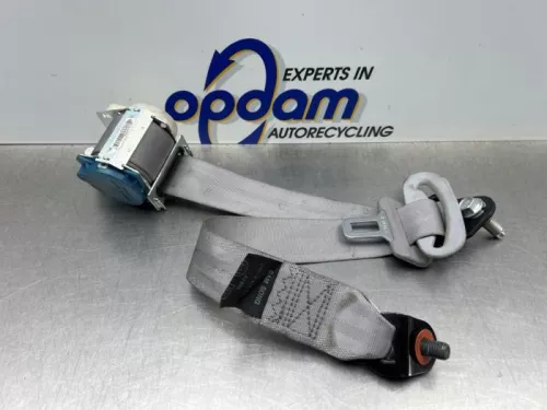 Veiligheidsgordel links-achter-7884107