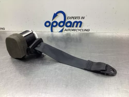 Veiligheidsgordel links-achter-7933777