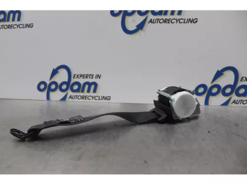 Veiligheidsgordel links-achter-6052245