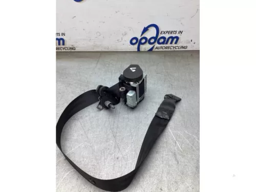 Veiligheidsgordel links-achter-8138934