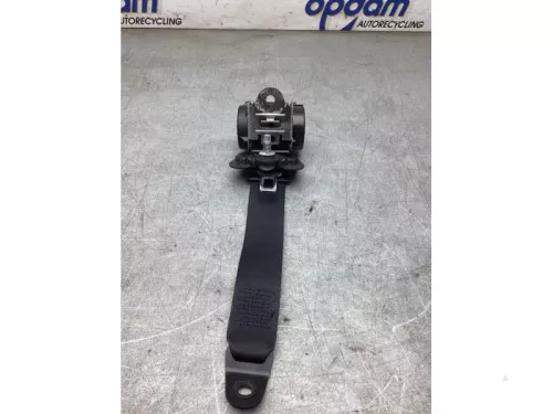 Veiligheidsgordel links-achter-8222398