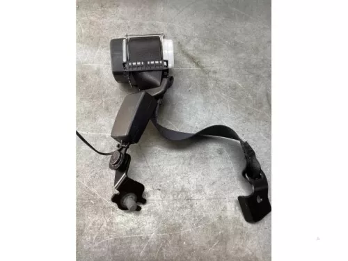 Veiligheidsgordel links-achter-8107470