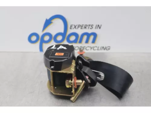 Veiligheidsgordel links-achter-7877368