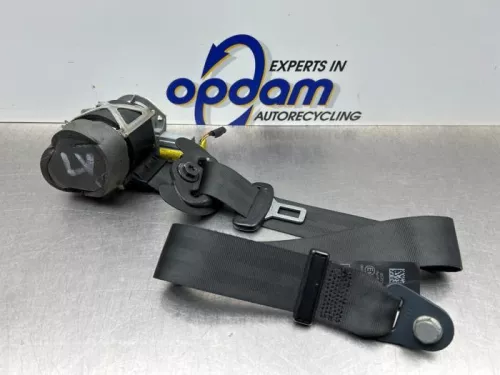 Veiligheidsgordel links-voor-8304428