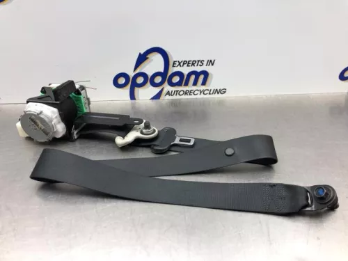 Veiligheidsgordel links-voor-8242824