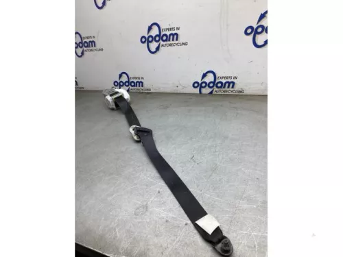 Veiligheidsgordel links-voor-8203592