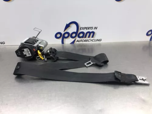 Veiligheidsgordel links-voor-8136407