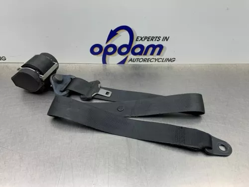 Veiligheidsgordel links-voor-8150924