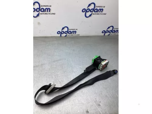 Veiligheidsgordel links-voor-8304616