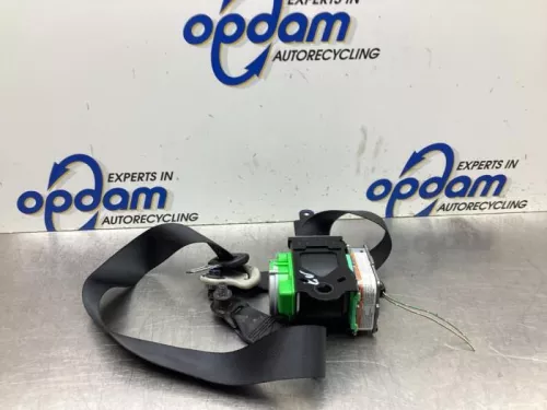 Veiligheidsgordel links-voor-8079050