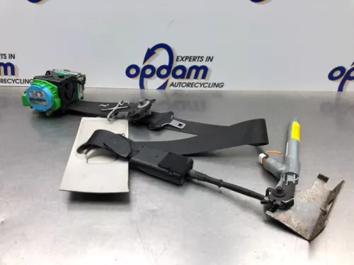 Veiligheidsgordel links-voor-8192076