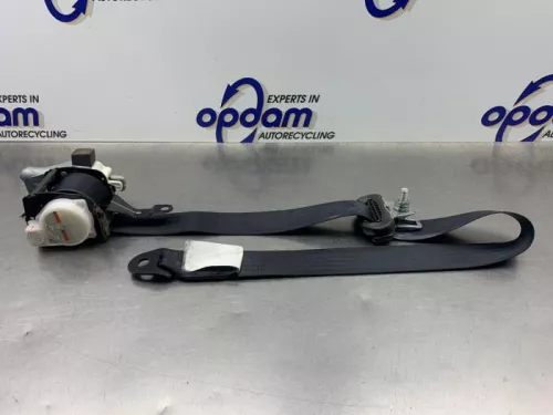 Veiligheidsgordel links-voor-8310081