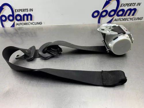 Veiligheidsgordel links-voor-8116588