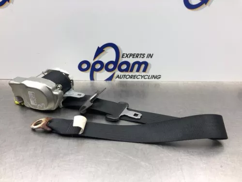 Veiligheidsgordel links-voor-8199029