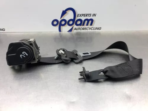 Veiligheidsgordel links-voor-8235154