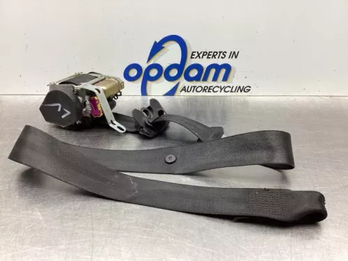 Veiligheidsgordel links-voor-7612921