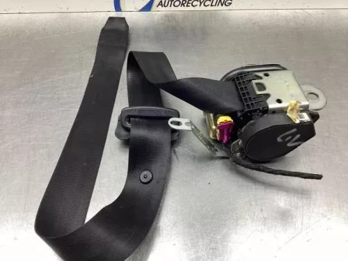 Veiligheidsgordel links-voor-8099938