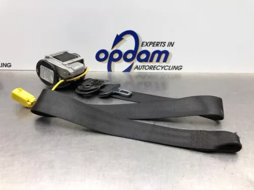 Veiligheidsgordel links-voor-8194642